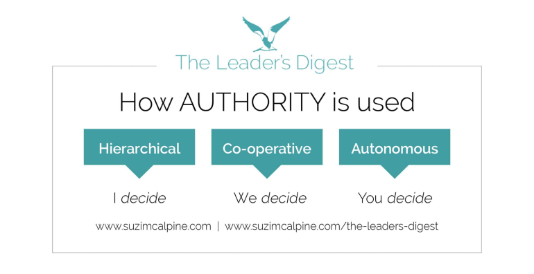 SUZ_2018_Authority-diagram.jpg