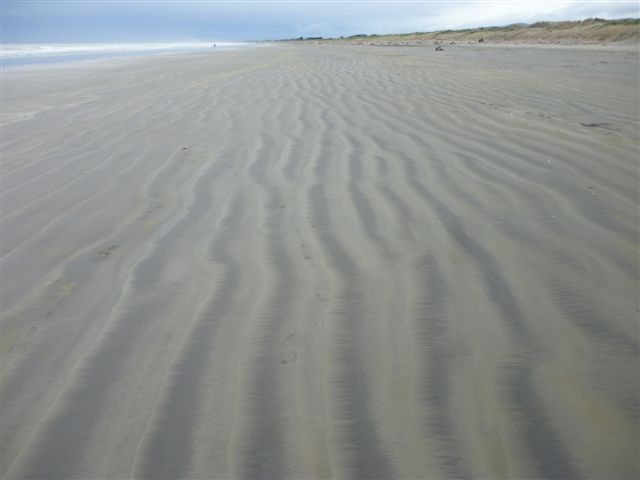 beach.jpg