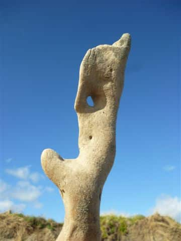 driftwood-sky.jpg
