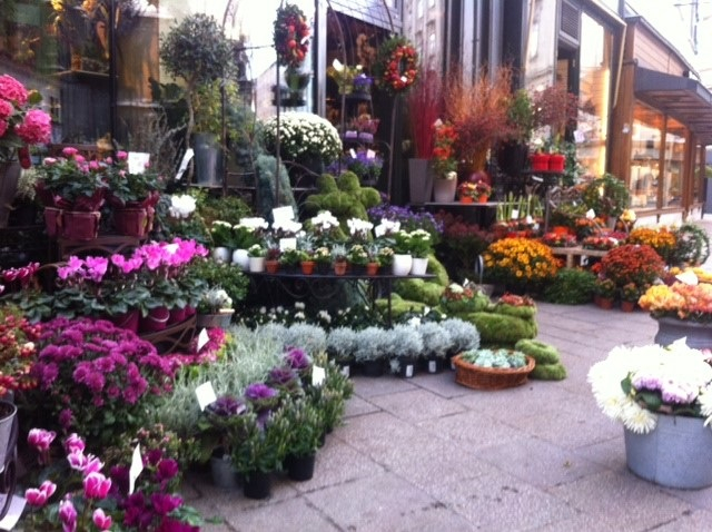 flower-stall-vienna.jpg