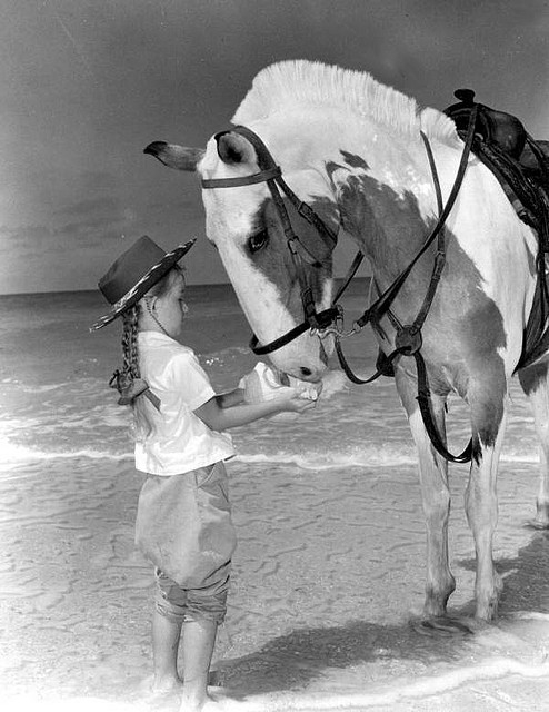 horse-water.jpg