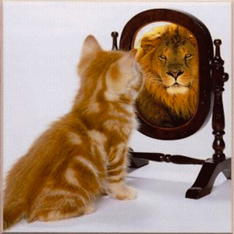 self-efficacy.jpg