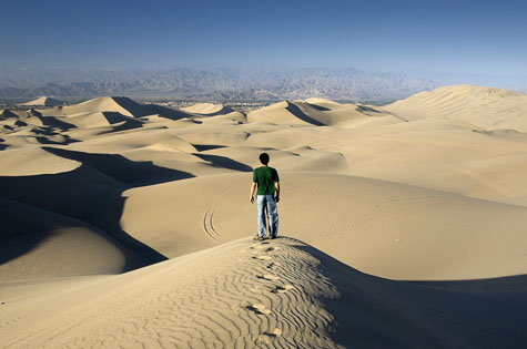 walk-your-own-path.jpg