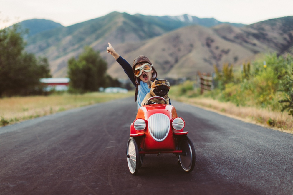 Small boy and dog are driving in a small go-kart together. The boy has his hand in the air with an excited expression.