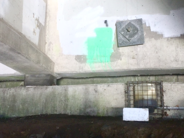FullSizeRender-5.jpg