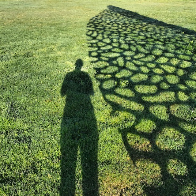 Shadow.jpg