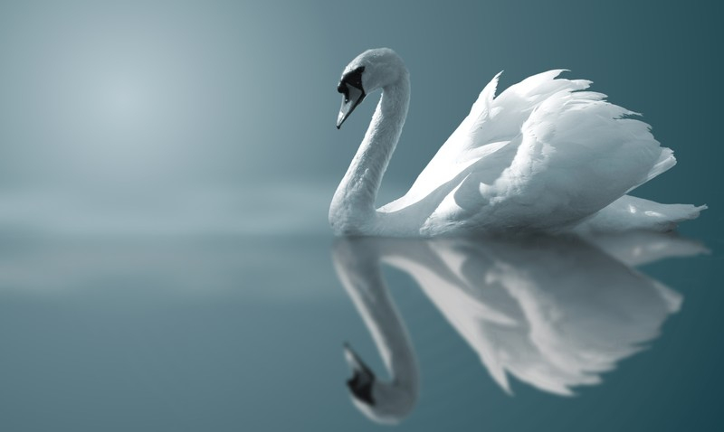canstockphoto3092.jpg