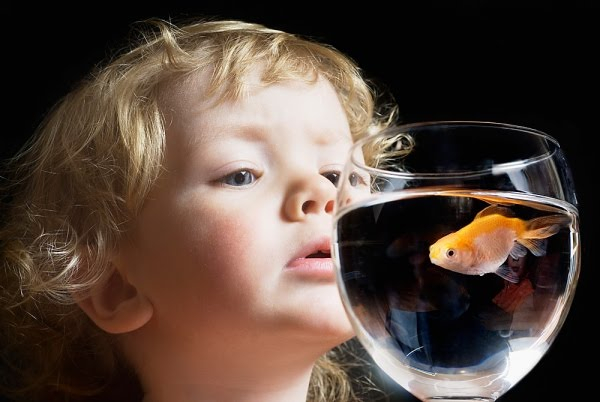curious-child.jpg