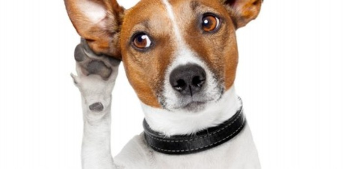effective-listening-770x380_big_700x500-upscale.jpg
