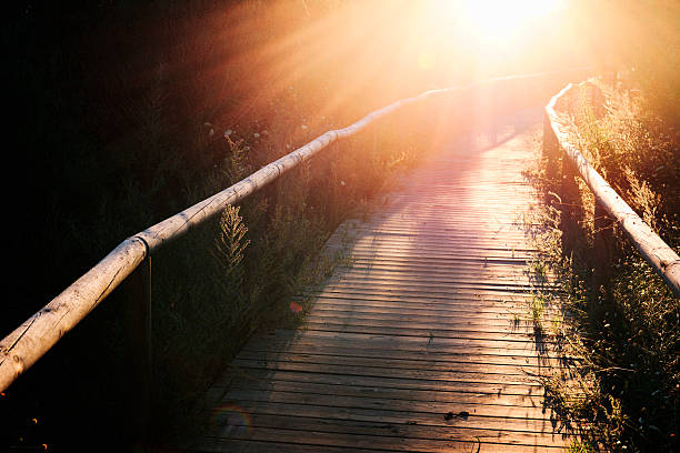 istockphoto-162141892-612x612-1.jpg