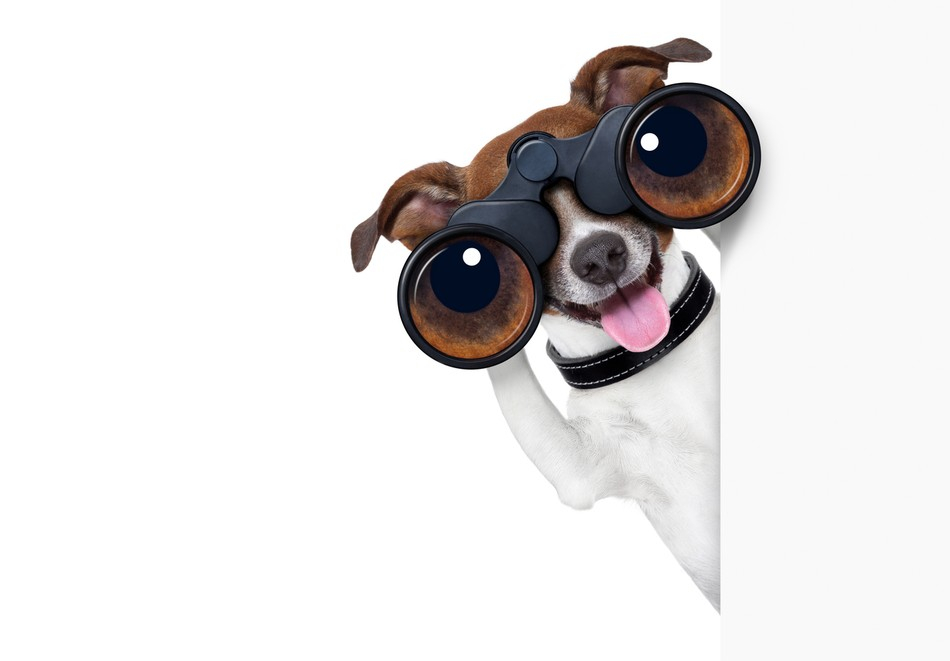 shutterstock_149449916_950x700-upscale.jpg
